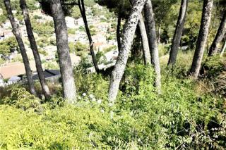 Terreny residencial a Mas Trader-Corral d´En Tort-Corral d´En Cona. Terreno con vallado