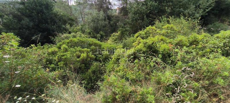 Foto ec1ce602-92a3-4de4-a96e-61b772cd26f3. Residential plot in Montmell (El)