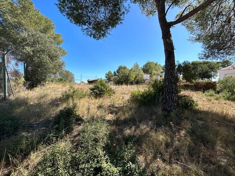 Foto 2d38f733-4d46-48bc-a487-047b446c4dea. Terreno residencial terreno urbano en el Nou Vendrell en Vendrell (El)