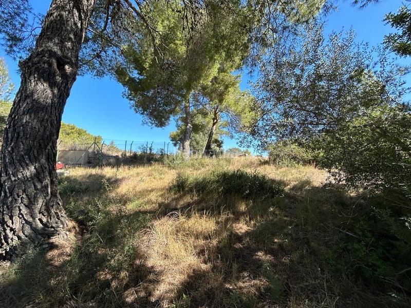 Foto ab4eab48-1202-42ed-b9a3-9451ff0ac75d. Terreno residencial terreno urbano en el Nou Vendrell en Vendrell (El)