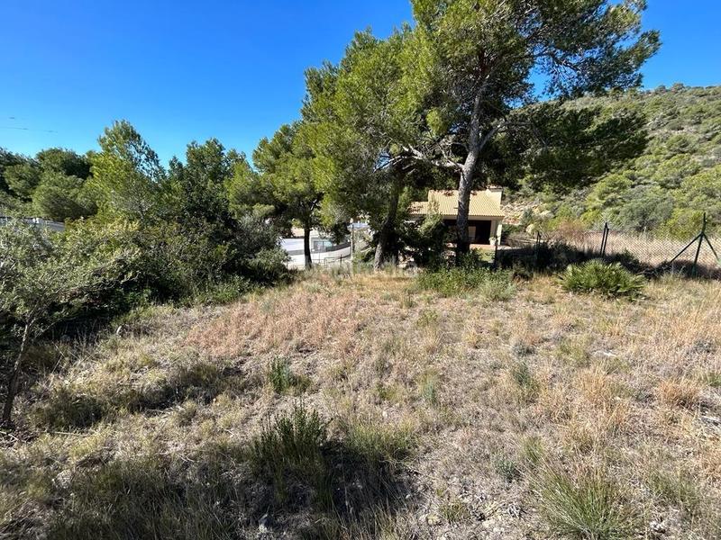 Foto e5d03a88-10ce-4bba-92ea-5e7f15bd4742. Terreno residencial terreno urbano en el Nou Vendrell en Vendrell (El)