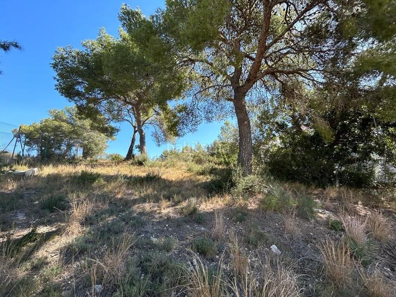 Foto f8862fe2-5ff3-434c-a8dd-f0306f23197c. Terreno residencial terreno urbano en el Nou Vendrell en Vendrell (El)