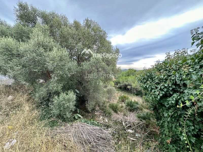 Foto c9590b16-39e4-4790-bd35-c93c58ea5cf1. Finca rústica a Nou Vendrell Vendrell (El)