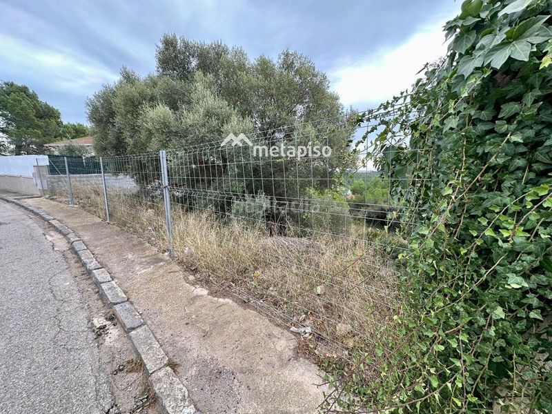 Foto d693c561-512f-4cef-af77-8b1e976fbc68. Finca rústica a Nou Vendrell Vendrell (El)