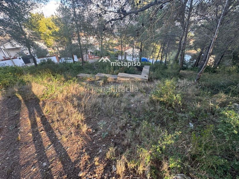 Foto ef636cbb-b1ff-4c58-93e9-b3b4f7bb710f. Finca rústica a Bisbal del Penedès (La)