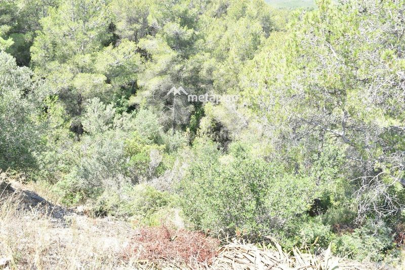 Foto bceebb55-74ac-4f77-acc4-1591286efd04. Finca rústica a Bisbal del Penedès (La)