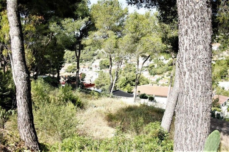 Foto a6e0b9b5-ad42-426d-8f92-499cb2867f8f. Finca rústica a Mas Trader-Corral d´En Tort-Corral d´En Cona Cubelles