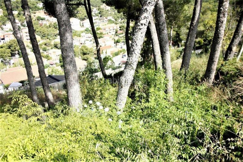 Foto f4dd0570-34b4-4513-bdd8-563950297a4a. Finca rústica a Mas Trader-Corral d´En Tort-Corral d´En Cona Cubelles