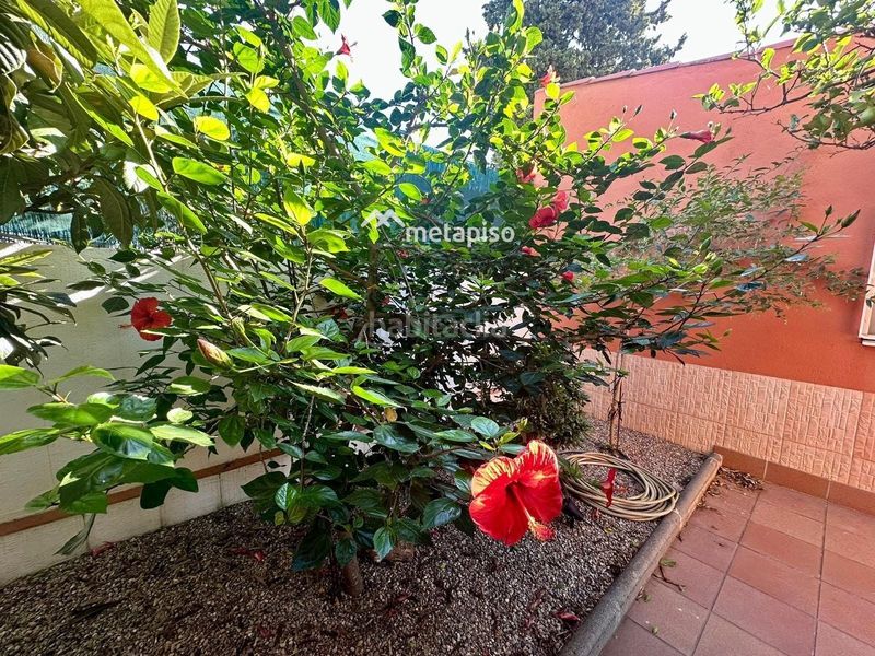 Foto 0c84545e-1738-46d3-8aa2-19a94079b8eb. Xalet amb calefacció aparcament piscina a Els Masos - Els Garrofers Coma-ruga