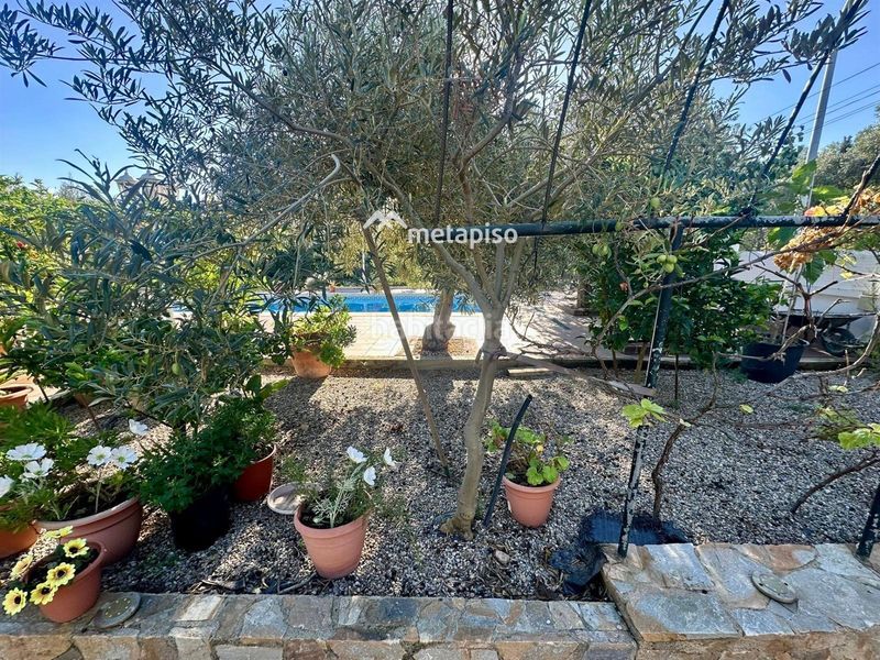 Foto 2c26cda9-bb16-4d74-a282-ce685a59ba34. Xalet amb calefacció aparcament piscina a Els Masos - Els Garrofers Coma-ruga