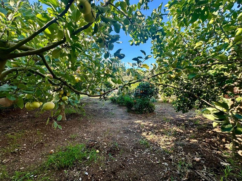 Foto 878156ba-12bd-46a3-93f7-41f380de8380. Xalet amb calefacció aparcament piscina a Els Masos - Els Garrofers Coma-ruga