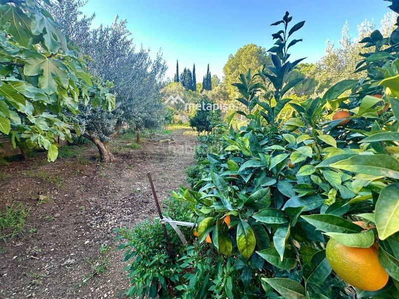 Foto 8c2d1475-23df-47a7-addb-6b06f32905ce. Xalet amb calefacció aparcament piscina a Els Masos - Els Garrofers Coma-ruga