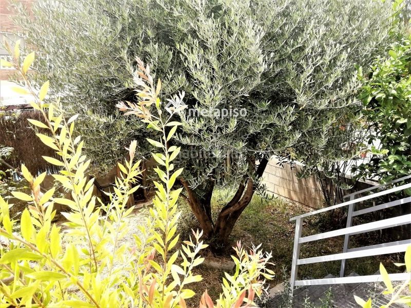 Foto bf03c59b-fb9d-4ba4-9544-8ff9ce91a492. Casa adossada amb calefacció aparcament a Arboç (L´)