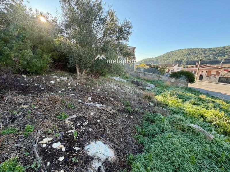 Foto c31a2935-3fa1-4e09-9d80-d26dd761bede. Finca rústica a Calafell park Calafell