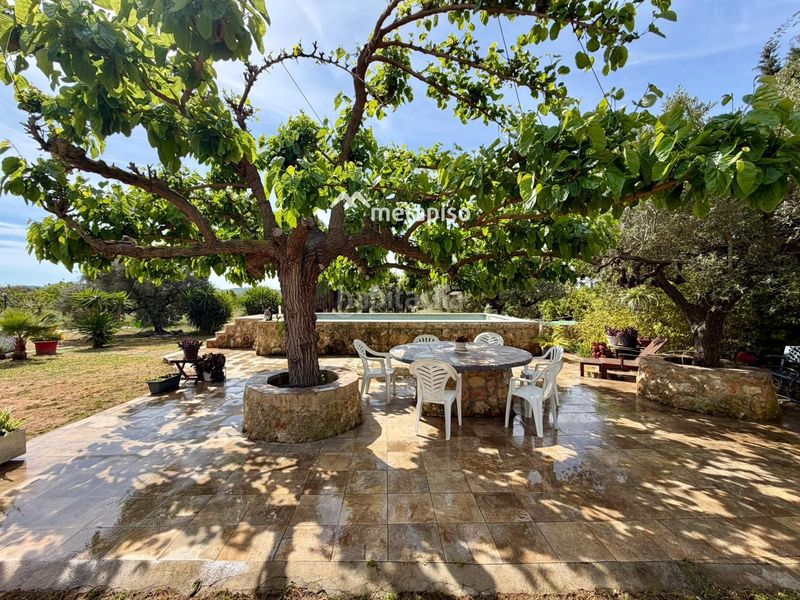 Foto 0624b77e-9f02-4479-8897-9845fa2d7eb4. Finca rústica a Santa Oliva
