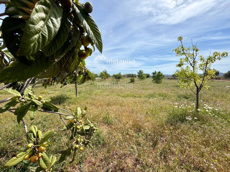 Foto 19bf8fd3-bb3f-4083-98d8-8ff1c0e79e82. Finca rústica a Santa Oliva