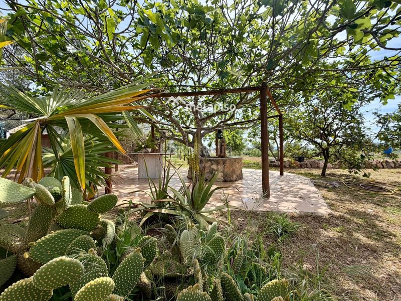 Foto 22284f39-3bd4-4e62-9b5a-a8e1e71f822b. Finca rústica a Santa Oliva