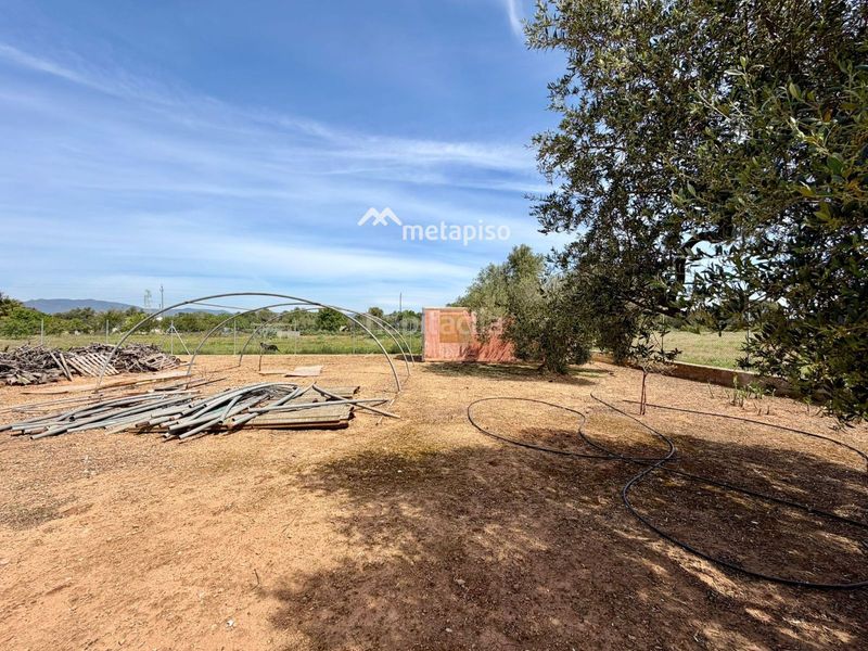Foto 227b3be4-f099-470e-a163-f649d91eaf95. Finca rústica a Santa Oliva