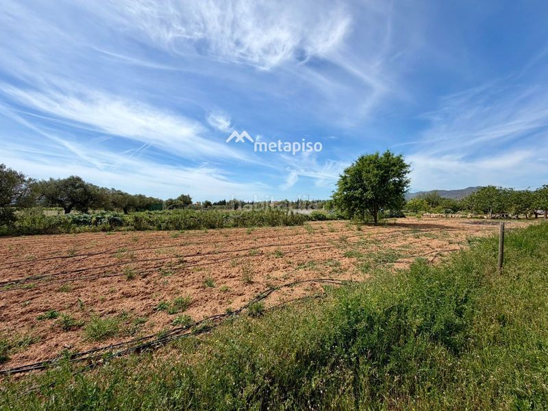 Foto 369388cc-2ff5-4fa6-aea2-f46e4d9d5c7a. Finca rústica a Santa Oliva