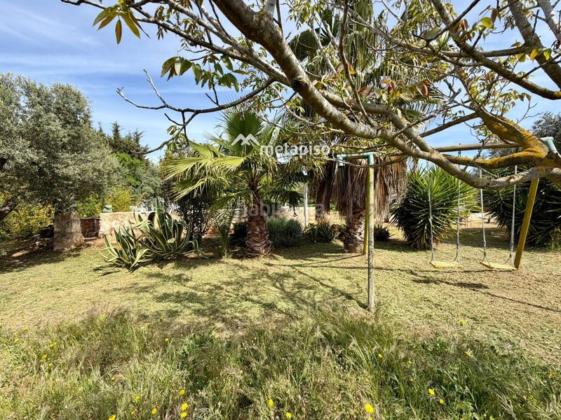 Foto 690239e4-3eb1-49bd-9d5b-cf3ee676bed6. Finca rústica a Santa Oliva