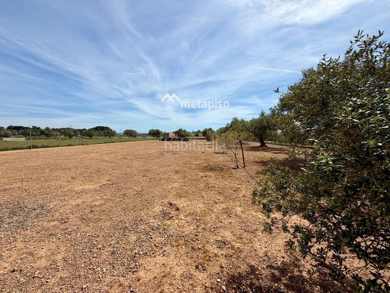 Foto 755534ae-8996-4fa7-9a89-2d25574de538. Finca rústica a Santa Oliva