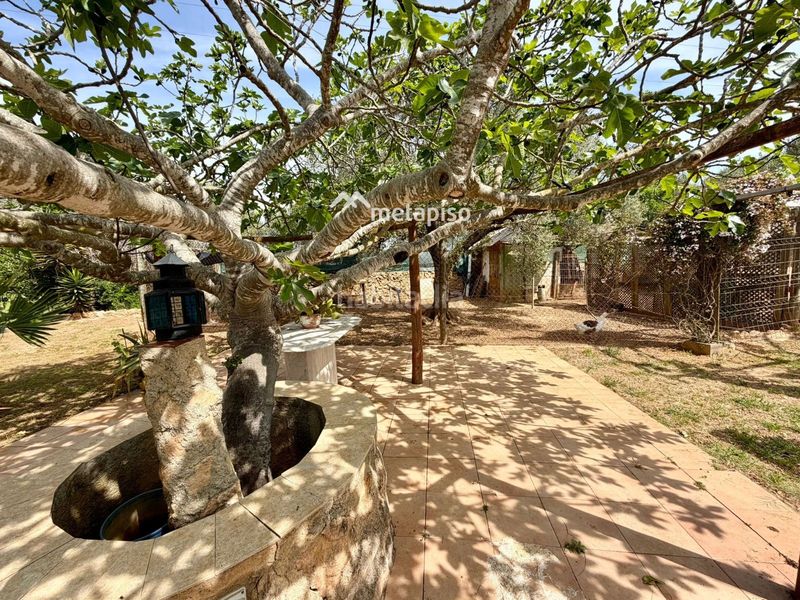Foto 7cf2fe4f-35ce-4253-8661-e3b5f5855e49. Finca rústica a Santa Oliva