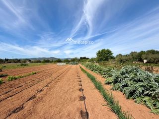 Fondo rustico in Santa Oliva. Impresionante parcela rústica de 8.732 m2 !!!!!