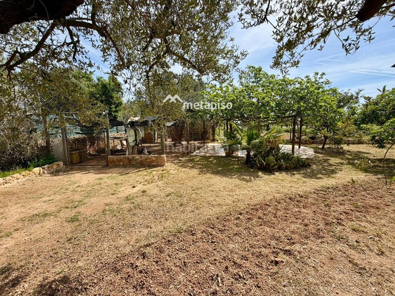 Foto 9552f565-9b1b-4c35-8b1d-d3e8b95d34ce. Finca rústica a Santa Oliva