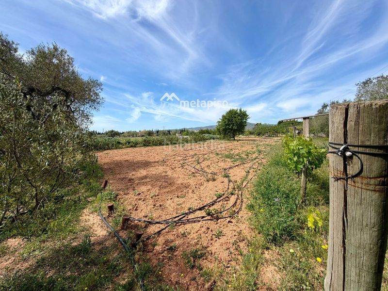 Foto a9f083de-5b20-42a0-be5d-b1156370cdaf. Finca rústica a Santa Oliva