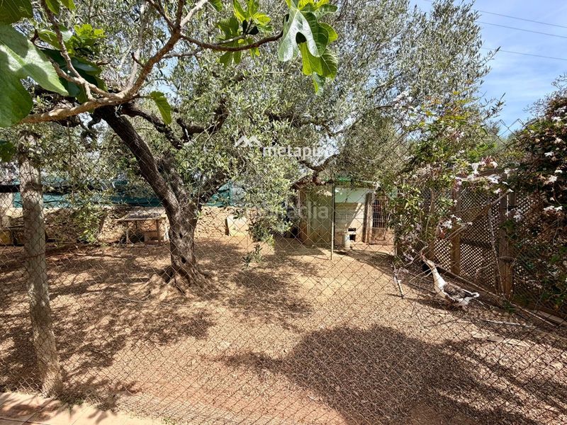 Foto ad0eddc3-691c-4394-83a9-1b3f92518cbc. Finca rústica a Santa Oliva
