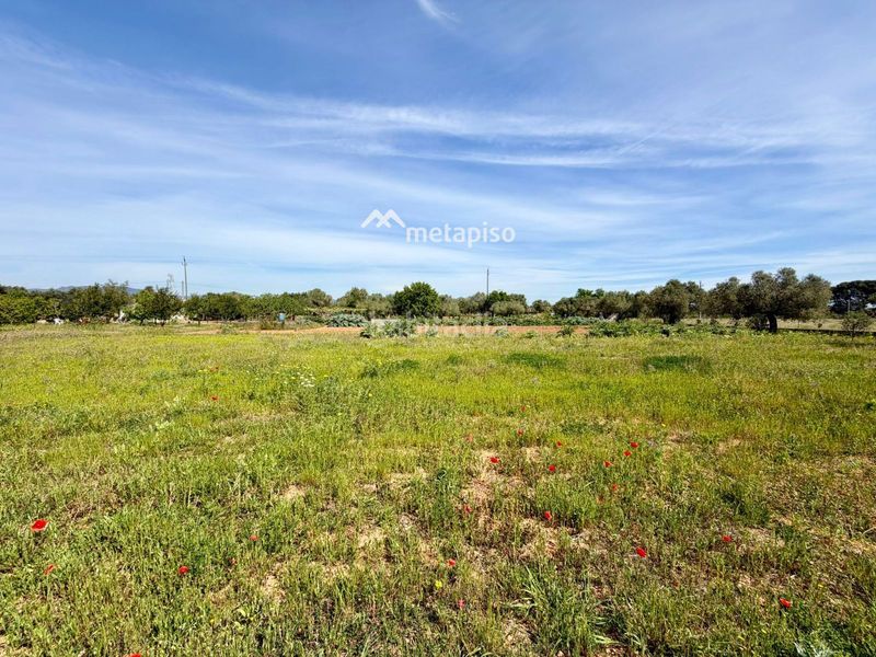 Foto aedb1e75-1c77-46dd-afc7-c305271003bf. Finca rústica a Santa Oliva