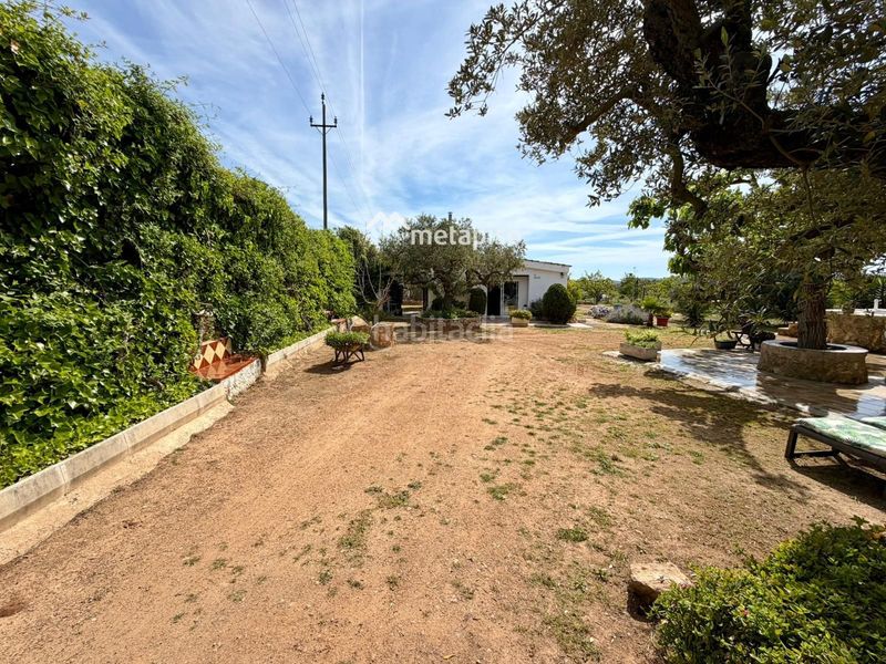 Foto b8663ba4-d94e-4827-acda-561f086652be. Finca rústica a Santa Oliva
