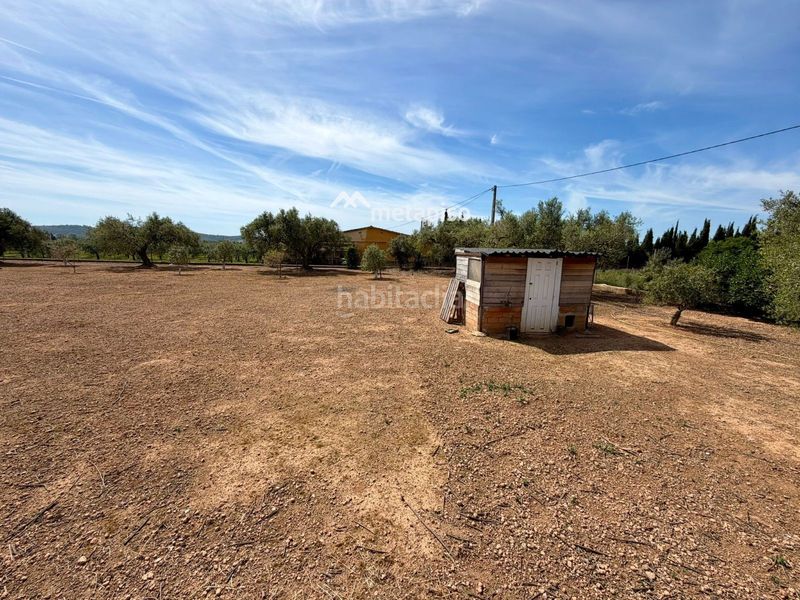 Foto cee34d58-8e48-4c5f-b62b-e9d99611c0c9. Finca rústica a Santa Oliva