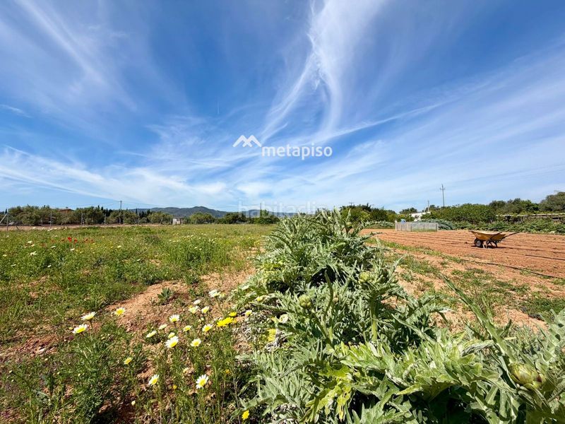 Foto d0b5ac46-3515-49c7-8125-d97262984670. Finca rústica a Santa Oliva