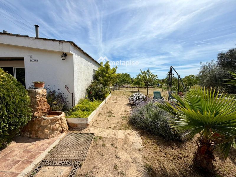 Foto d215e2c3-8994-4917-8a62-6a672e1623bf. Finca rústica a Santa Oliva