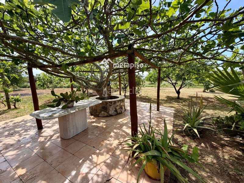 Foto d6e280d8-1fbf-4323-a5a4-4d305ad89339. Finca rústica a Santa Oliva