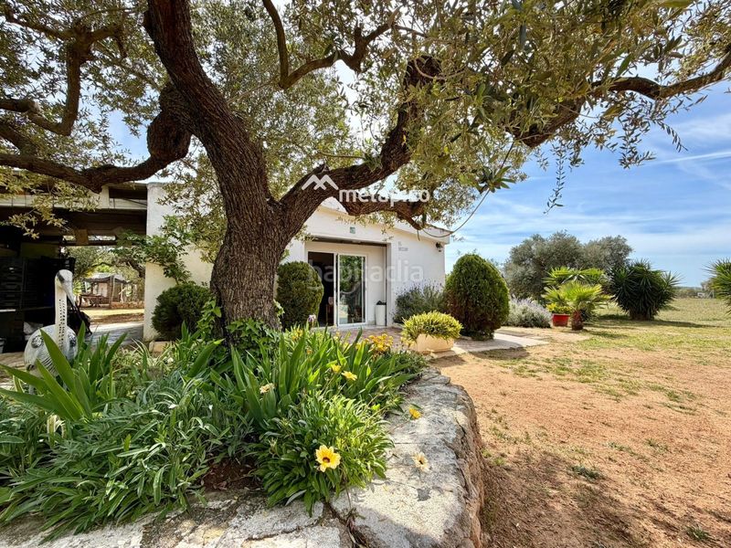 Foto e04f73fd-d89c-4bb5-ae24-c3fc150985f9. Finca rústica a Santa Oliva