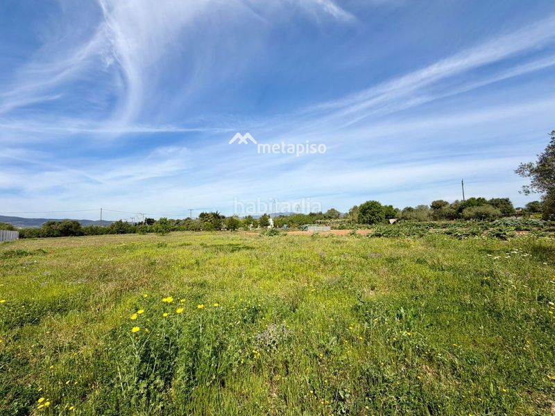 Foto ebf501c2-9315-4410-bec1-ecc4d8b9e8c6. Finca rústica a Santa Oliva