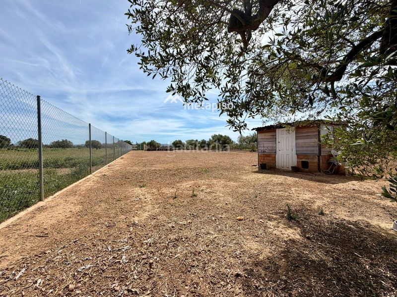 Foto fd50a950-1fad-4d37-8338-726c7fc7b269. Finca rústica a Santa Oliva