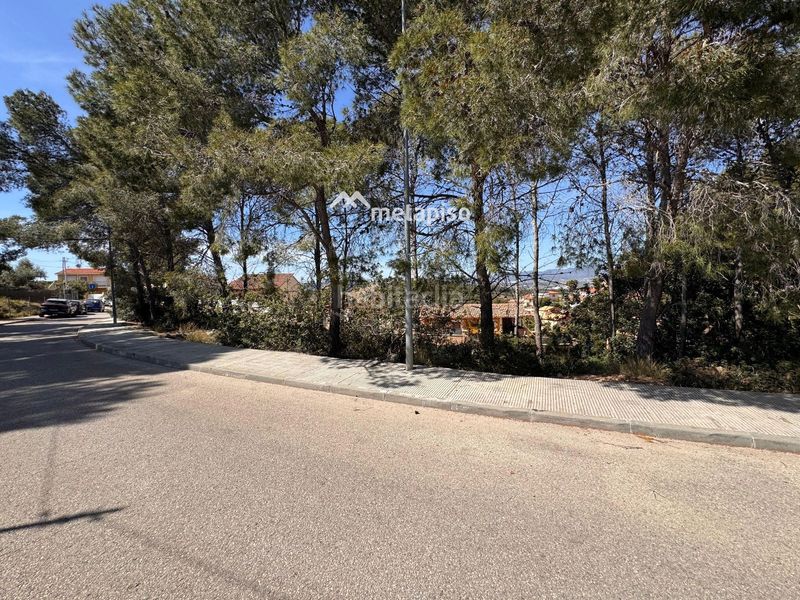 Foto 981ff4f8-e8ae-4025-881c-fda12e7cbda8. Finca rústica a Valldemar-Montmar Segur de Calafell