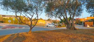 Solar industrial en Carrer de cadaqués 12. Oportunitat única: parcel·la comercial de primera línia a palafr