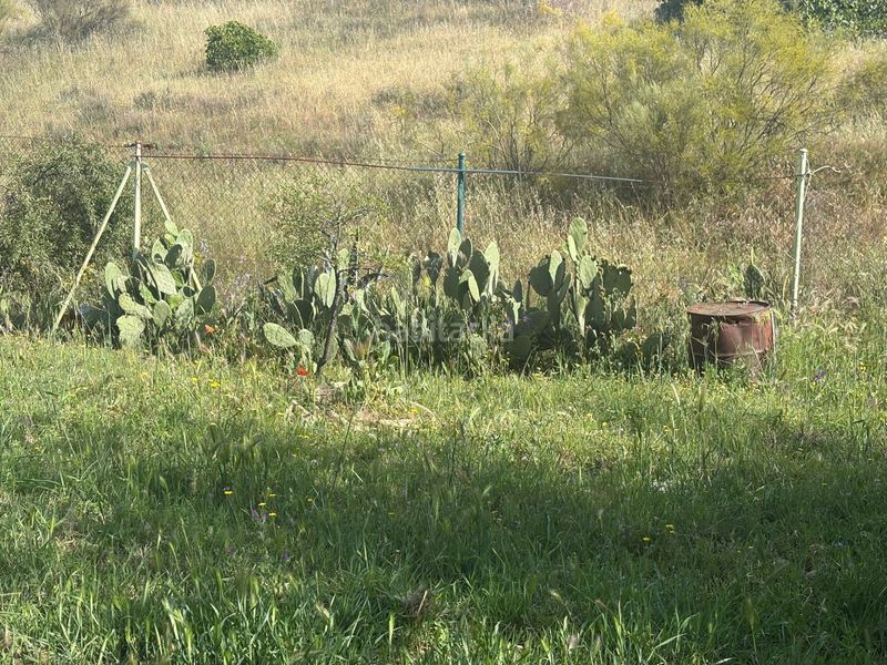 Foto 8173d5e9-c4ff-4f86-a9ab-984b0635ba6b. Finca rústica a Calypo Fado
