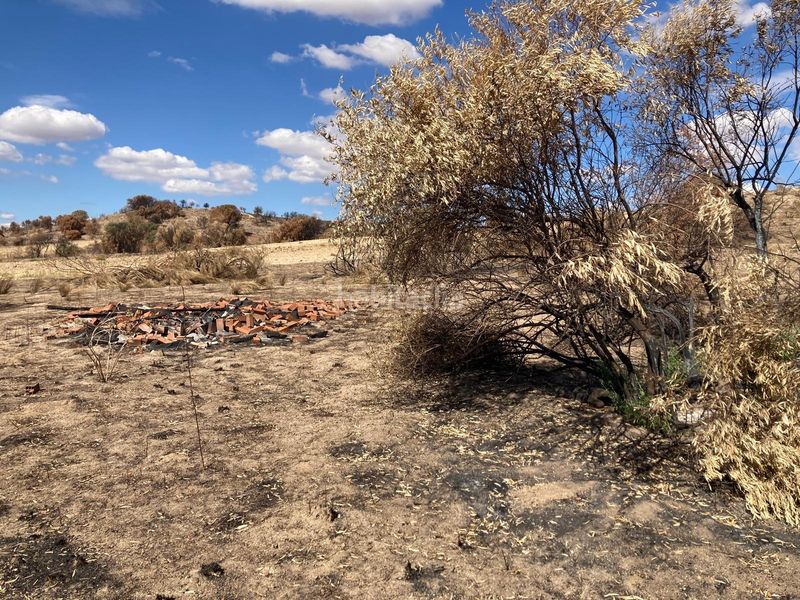 Foto d4d5b45a-a79f-4ad2-b5f2-95d20182cb19. Finca rústica en Urb. Calypo Navalcarnero
