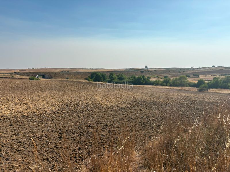 Foto 5b500fe3-68e1-47d0-96d5-c7e28b562aa9. Finca rústica a cm-9420 563 a Casarrubios del Monte