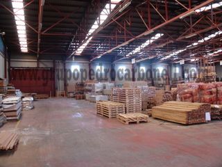 Fabrikhalle in Catral. Nave industrial