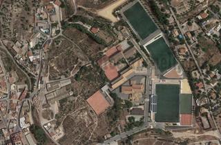 Terreny residencial a Crevillente. Crevillente venta solar centro
