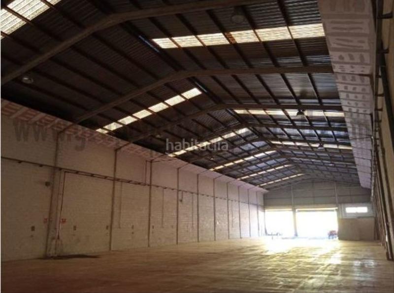 Foto 278312bc-976c-4b3c-9ef1-4d5c6c892055. Alquiler nave industrial alquiler nave en Pla de la Vallonga Alicante