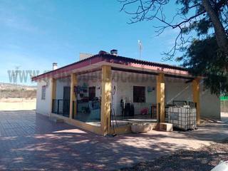 Casa a Crevillente. Crevillente venta casa campo
