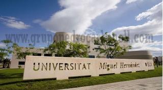 Lloguer Nau industrial a Campus Universitari Miguel Hernández. Elche alquiler nave comercial