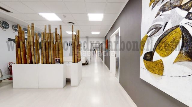 Foto 37b9d5f7-0e7a-4a2c-a749-32a69dcf60dc. Location bureau dans Altabix Elche / Elx